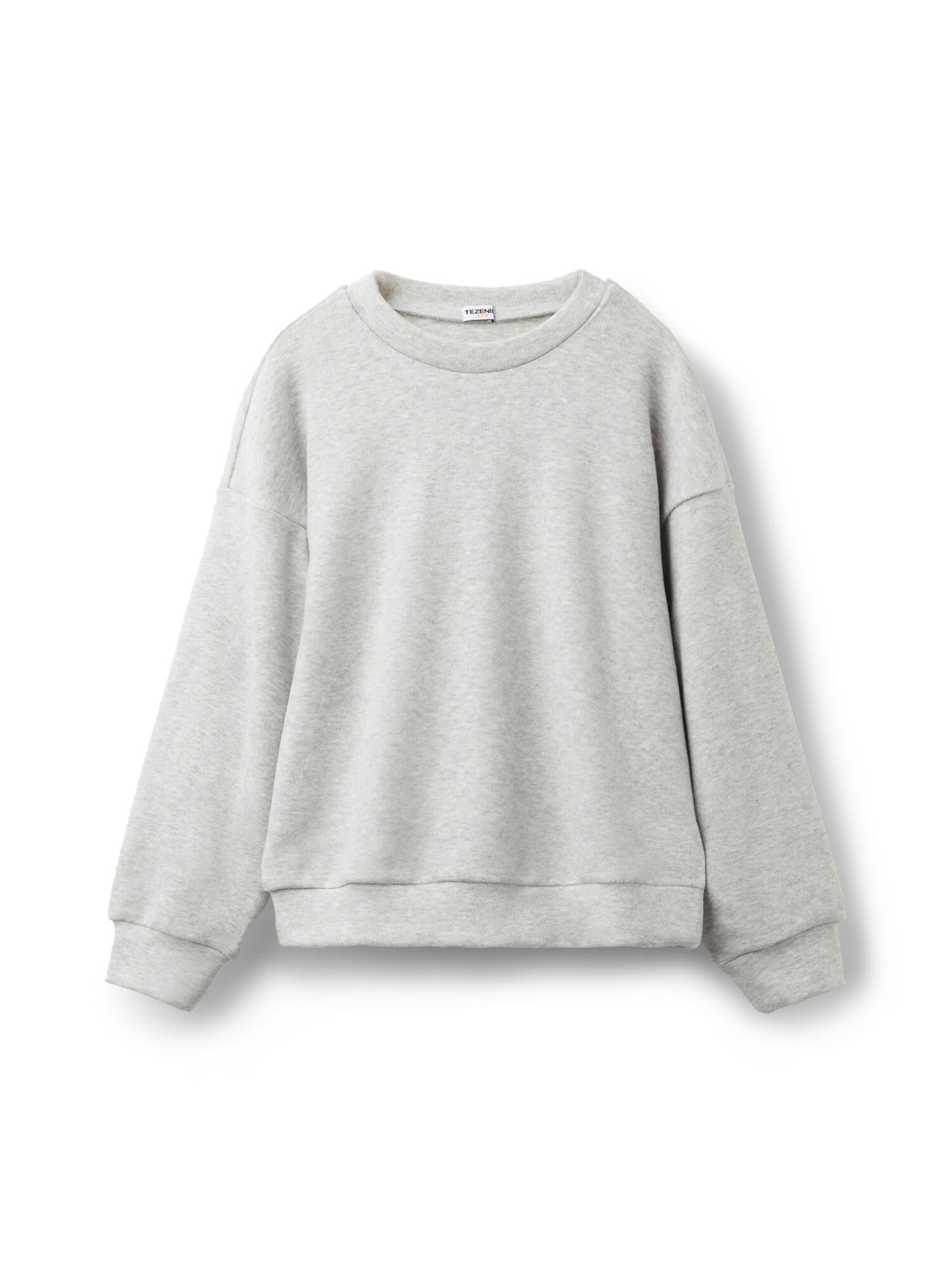 Tezenis Sweatshirt in Grey: front