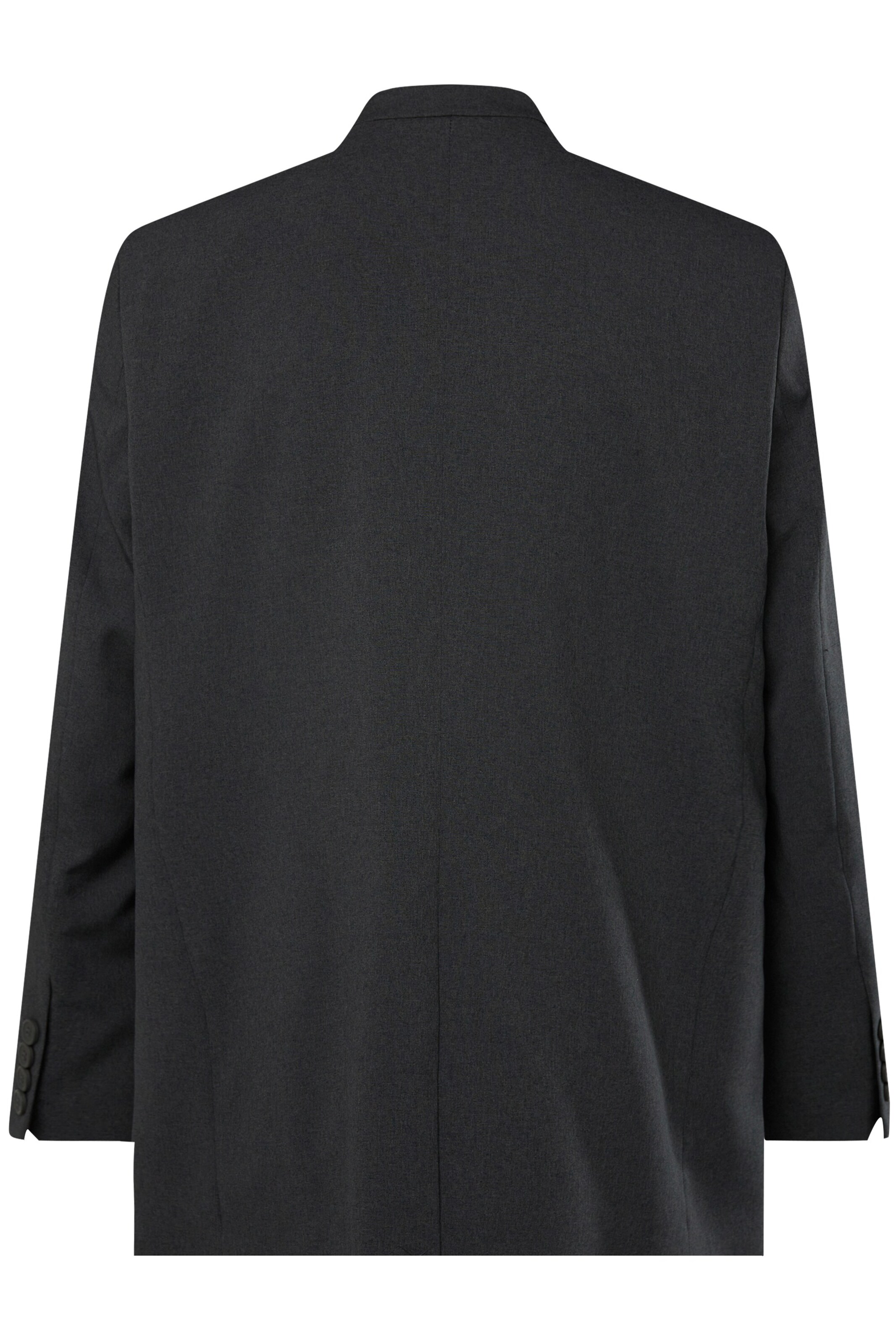 Men Plus Regular fit Colbert in Grijs