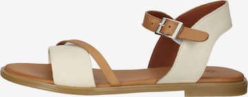 ILC Sandalen met riem in Beige