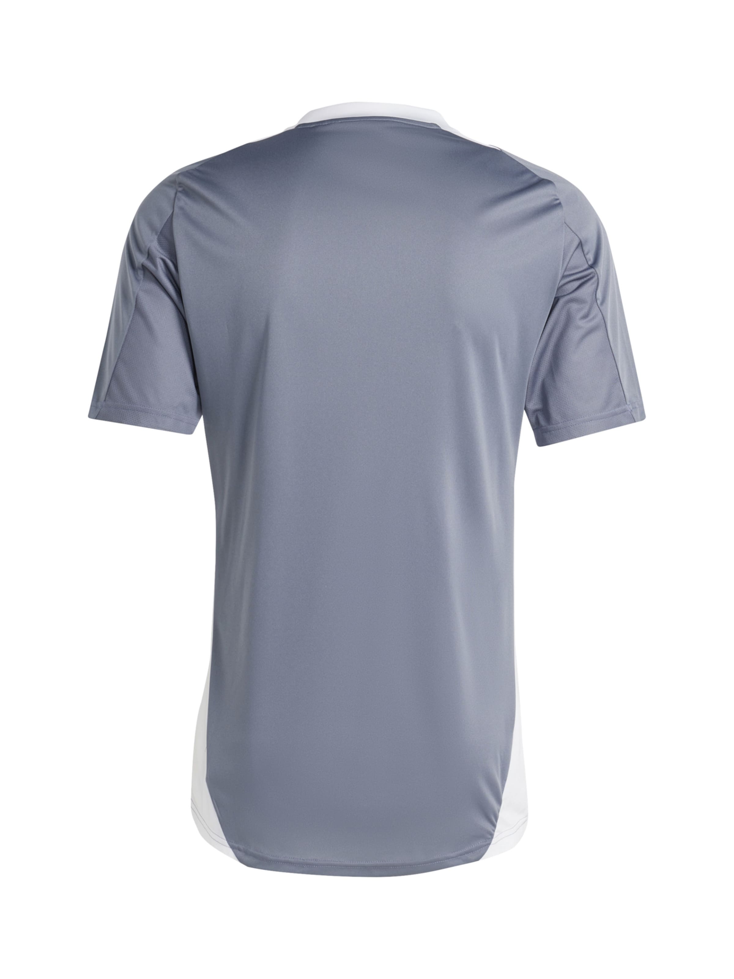 ADIDAS PERFORMANCE Trikot 'Tiro 24 Competition' in Grau