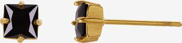 Heideman Earrings 'Seneca ' in Gold