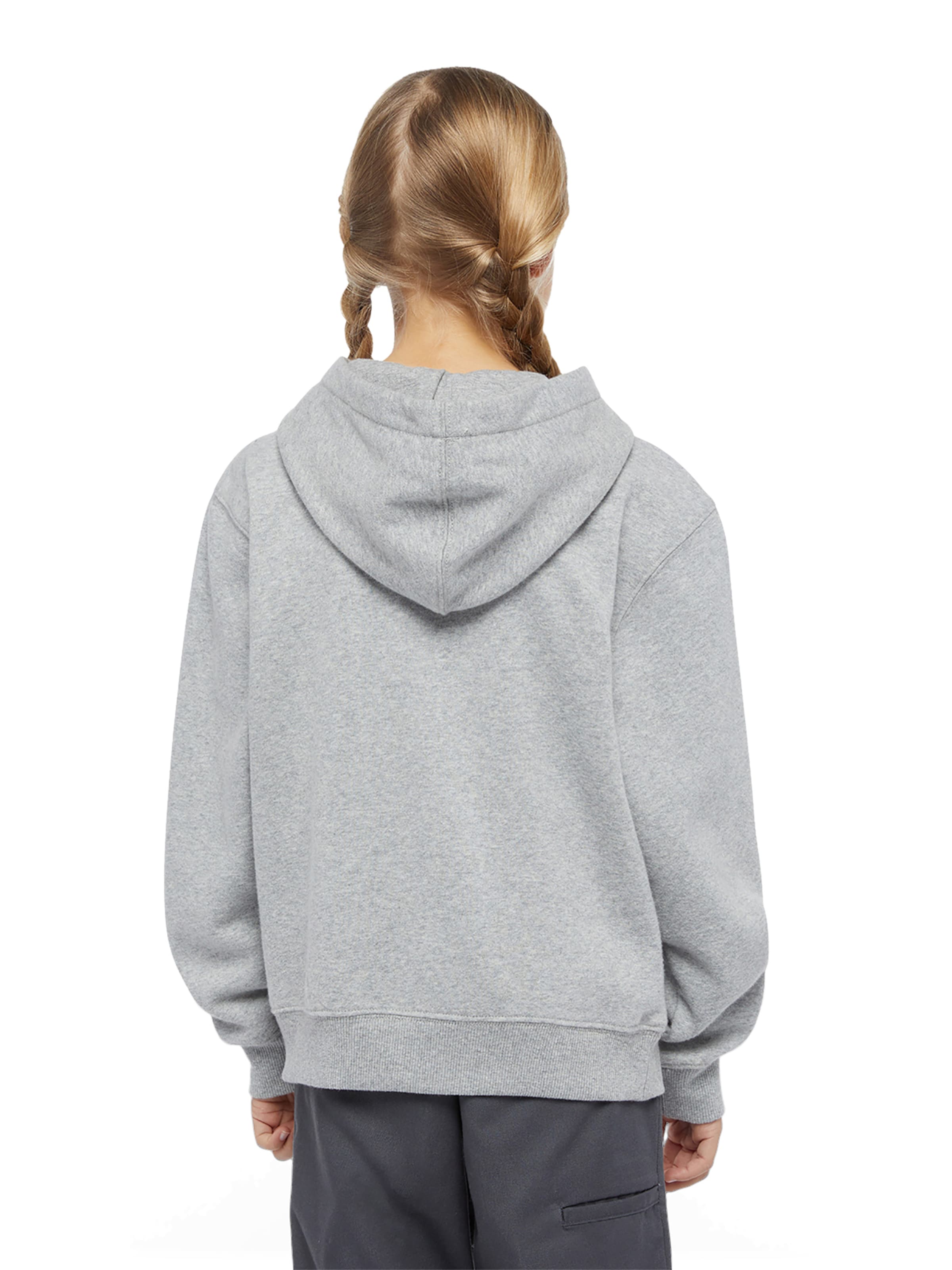 DICKIES - Sudadera 'Youth Oakport' en gris