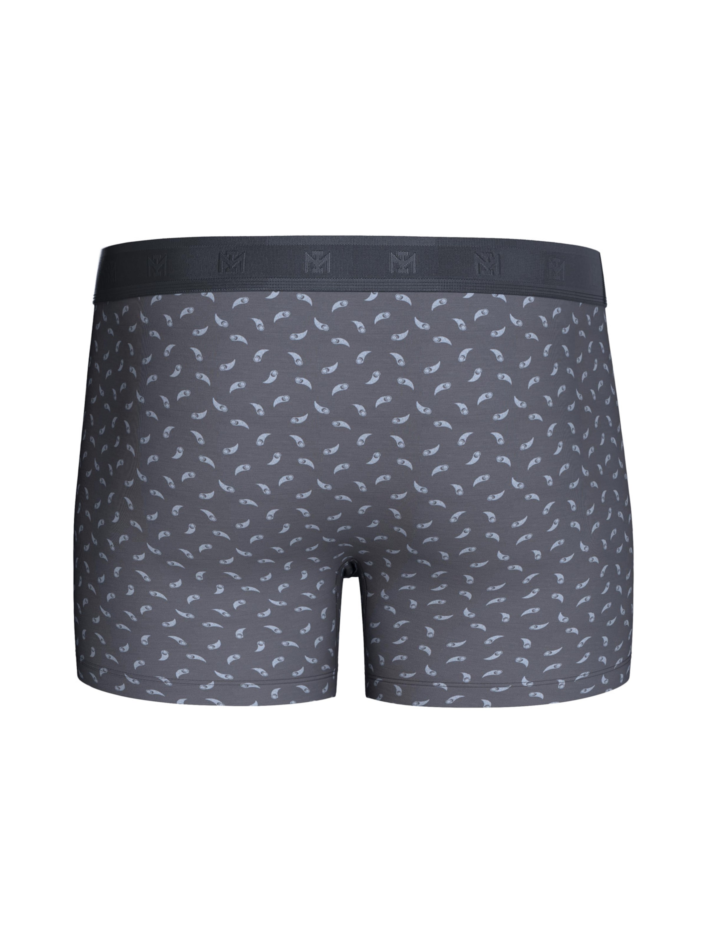 Boxers ' IM1221P1200 ' IMPETUS en gris