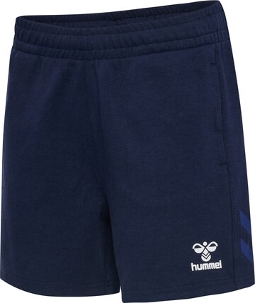 Hummel Regular Workout Pants 'TRAVEL ' in Blue