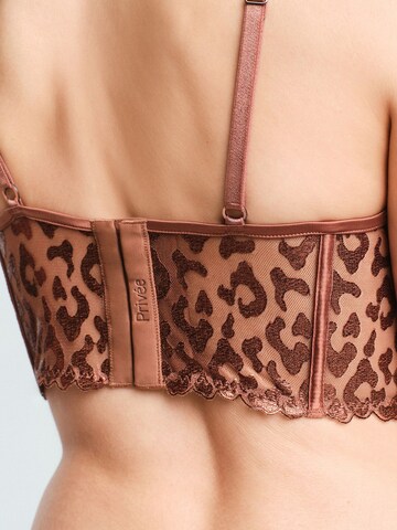 PentiBustier Grudnjak 'BHs & Bralettes' - smeđa boja