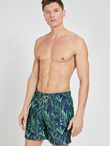 Shiwi Swimming shorts in Blue: front