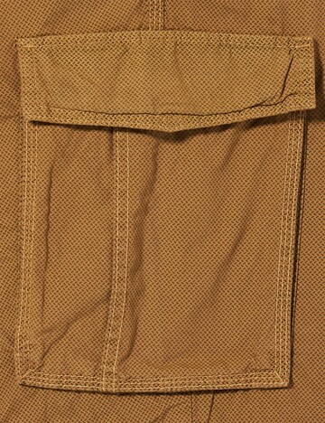 CAMEL ACTIVE Regular Cargo Pants in Brown