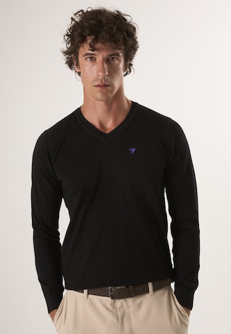 Felix Hardy Pullover in Schwarz: Vorderseite