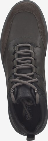 GEOX Sneaker in Braun