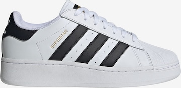 ADIDAS ORIGINALS Низкие кроссовки 'Superstar XLG' в Белый