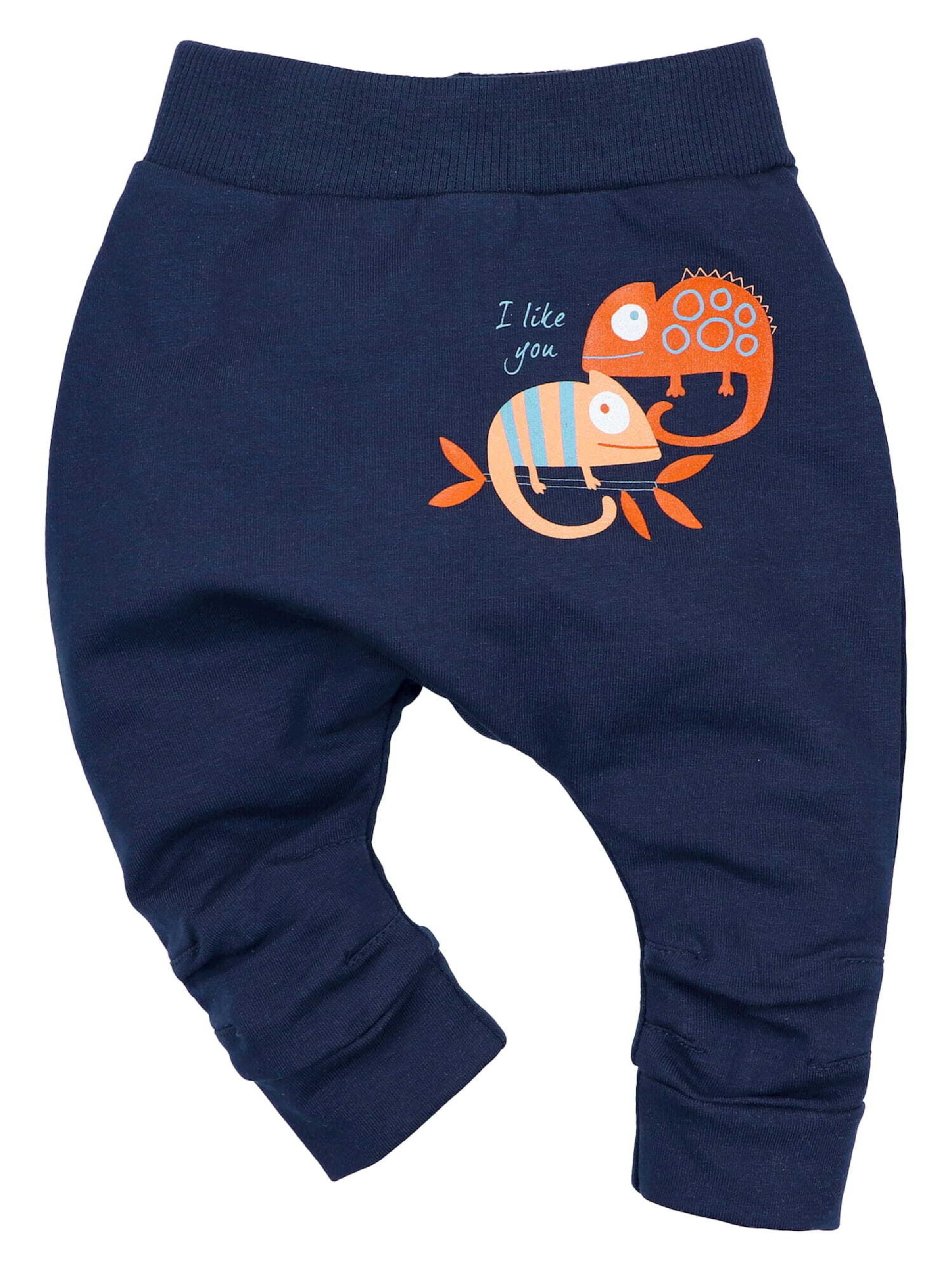 NINI Regular Broek 'Chamäleon' in Blauw: voorkant