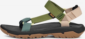 Sandales TEVA en vert : devant