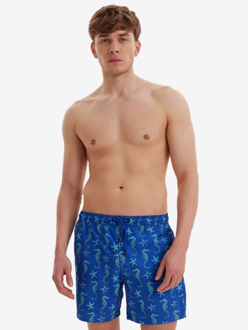 Shorts de bain WESTMARK LONDON en bleu : devant