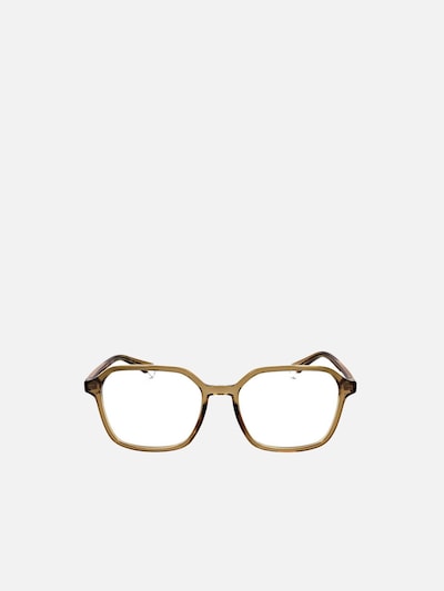 Polaroid Zonnebril 'Polaroid PLD D469 Havana 53/17/145 WOMAN Eyewear Frame' in 53 in de kleur Beige, Productweergave