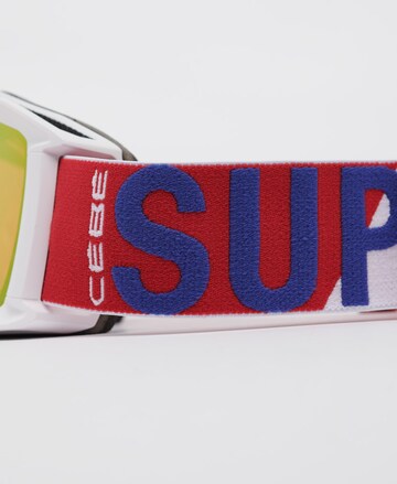 Superdry Skibrille in Weiß