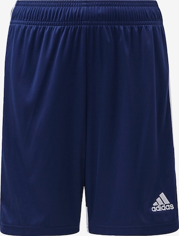 Regular Pantalon de sport 'Tastigo 19' ADIDAS PERFORMANCE en bleu : devant