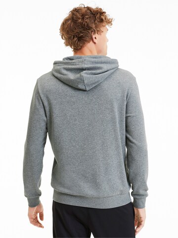 Sweat de sport 'Team Goal 23' PUMA en gris