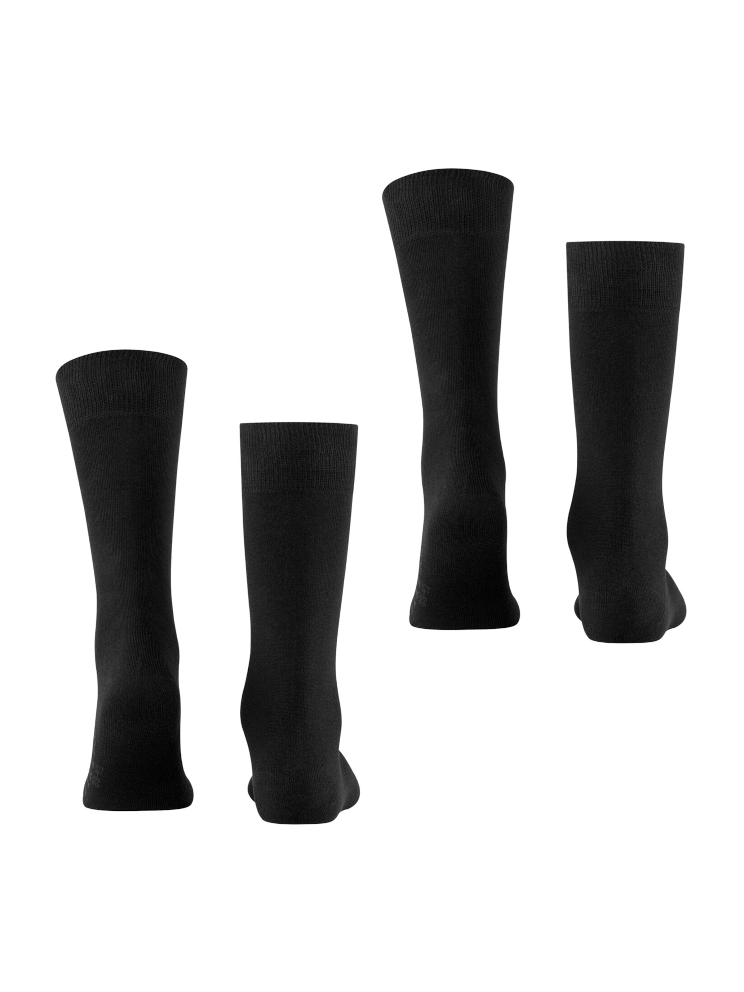 FALKE - Calcetines en negro