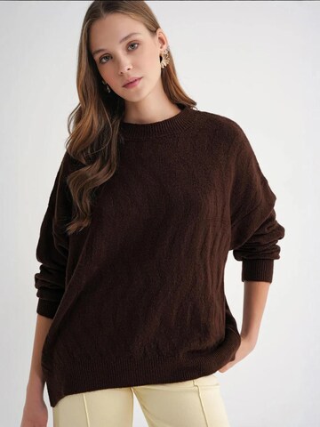 MixRay Pullover in Braun