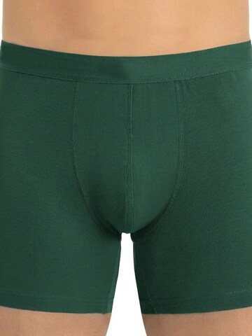 Boxers ÖTS en vert