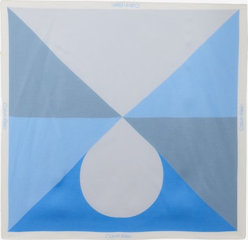 mėlyna Calvin Klein Skara: priekis