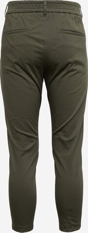 regular Pantaloni con pieghe 'CHASY' di DRYKORN in verde