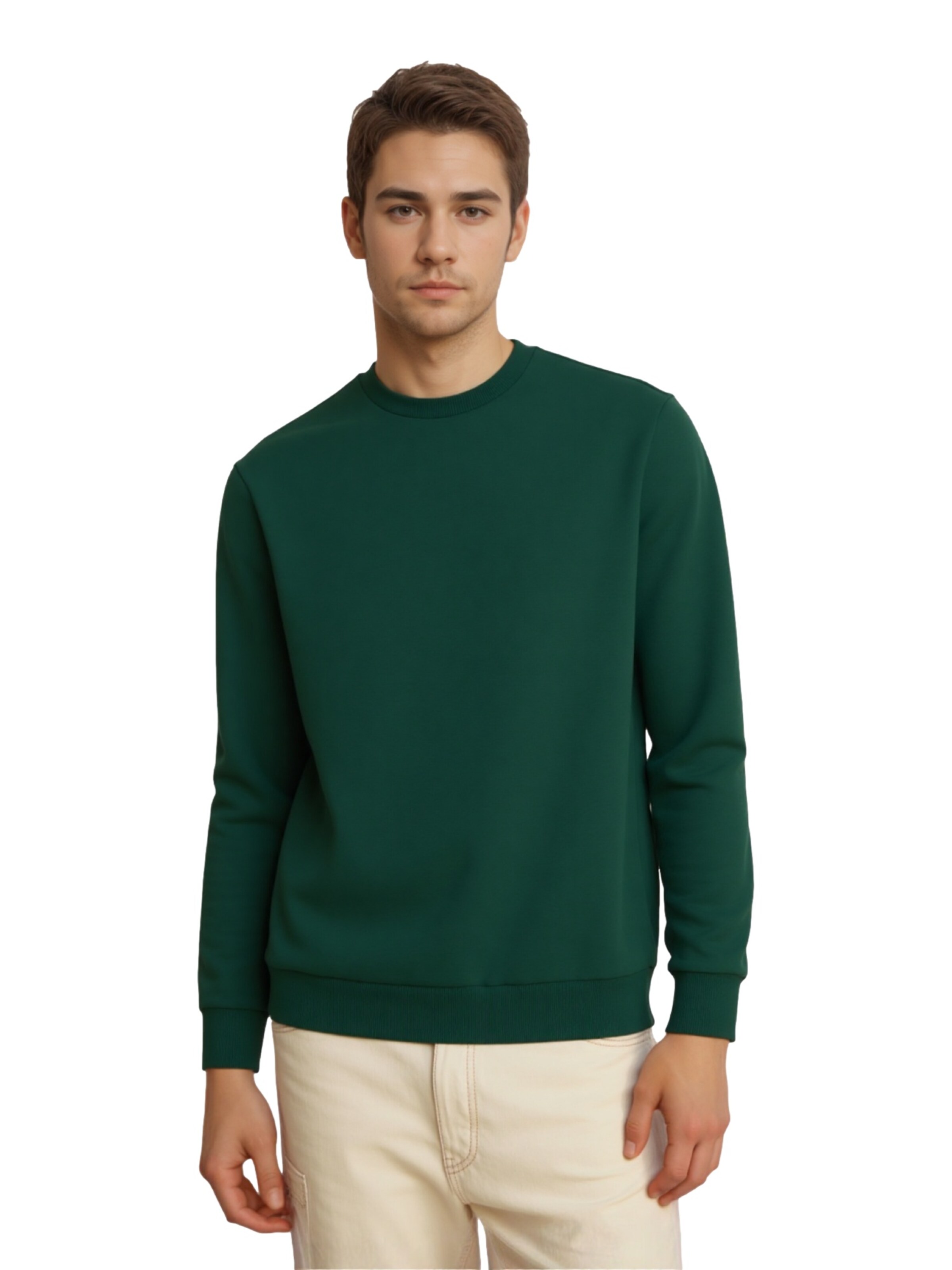 Only & Sons Regular Fit Sweatshirt 'ONSCERES' in Grün: Vorderseite