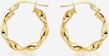 Boucles d'oreilles Lucardi en or : devant