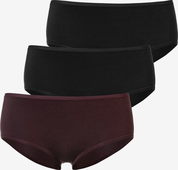 SCHIESSER Panty in Lila: predná strana