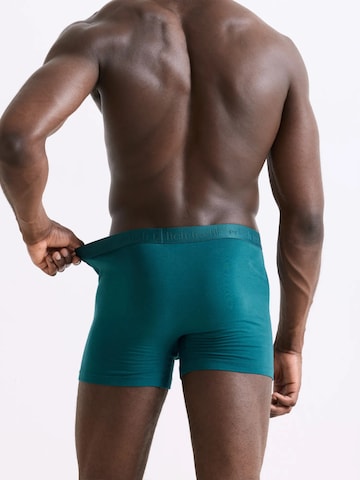 Boxers 'Casual Cotton' Erlich Textil en vert