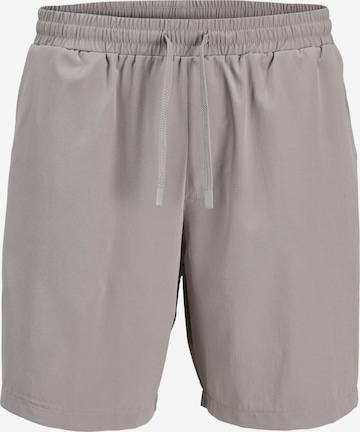 Pantalon 'JCOCNZ' JACK & JONES en gris : devant