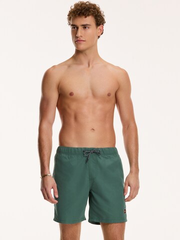 Shiwi Plavecké šortky – zelená: přední strana