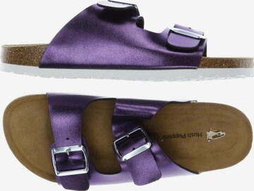 HUSH PUPPIES Sandals & High-Heeled Sandals in 40 in Purple: front