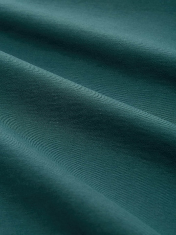 TOM TAILOR Shirt in Grün