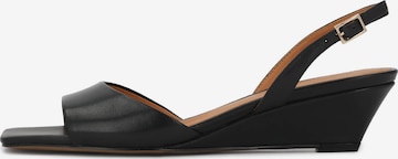 Kazar Босоножки в Черный: спереди