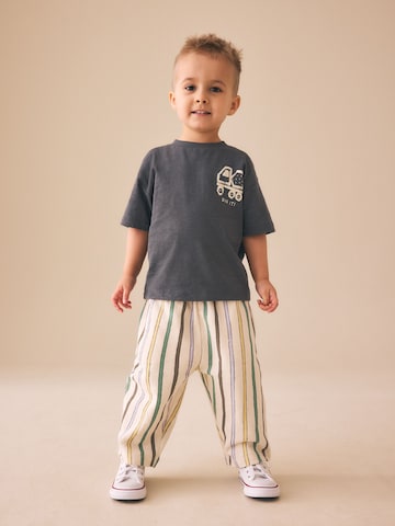 Next Wide leg Pants in Mixed colors