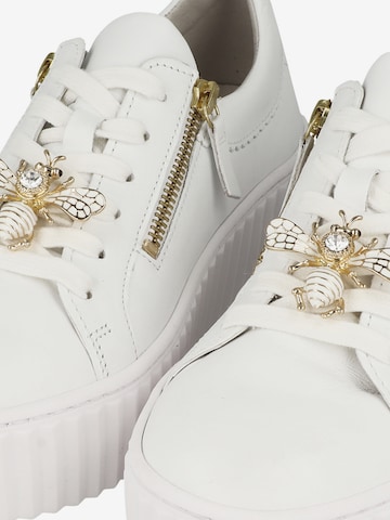 Leather Sneakers Gabor Sneakers Weiss Gabor SNEAKERS Trainers