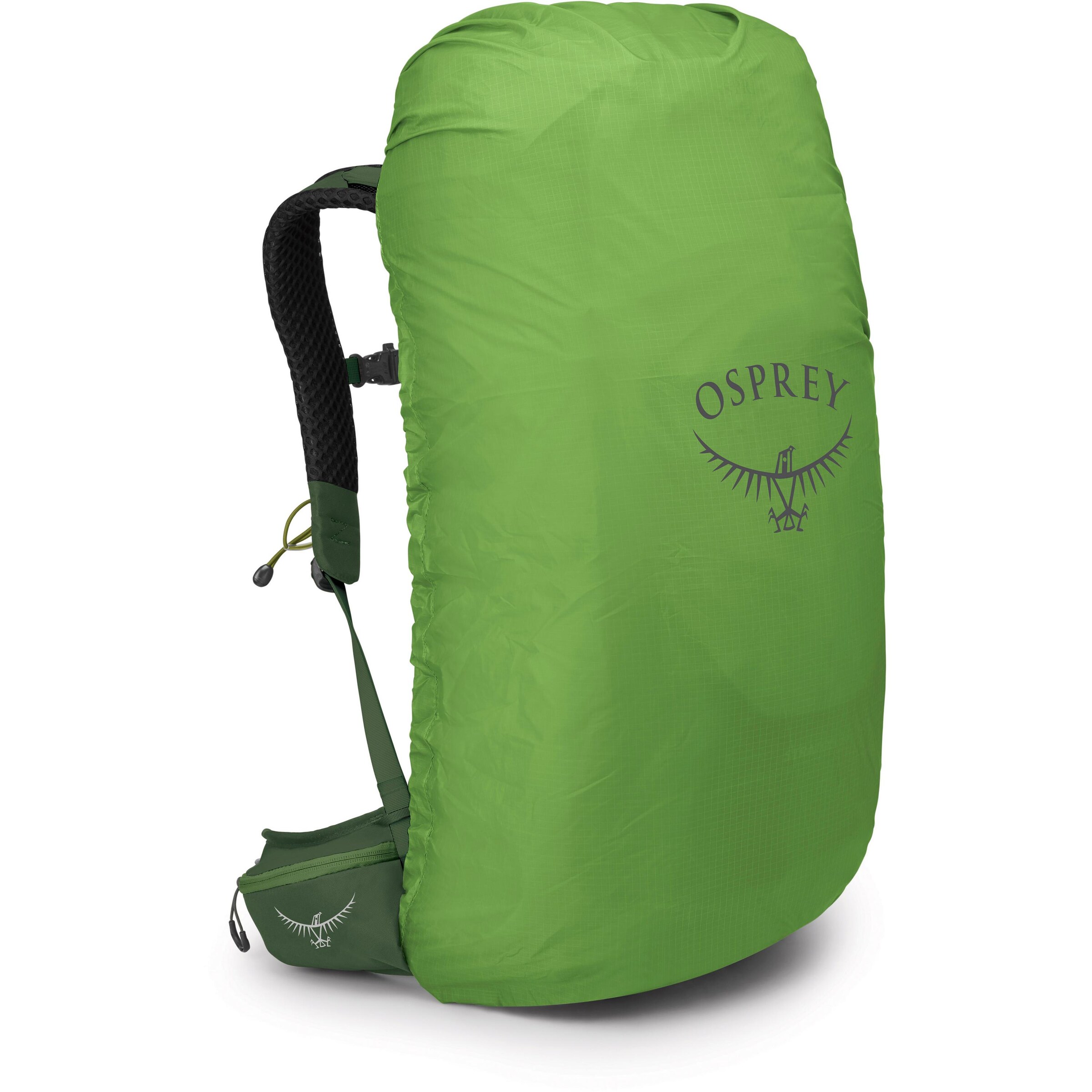Osprey Sportrucksack in Grün