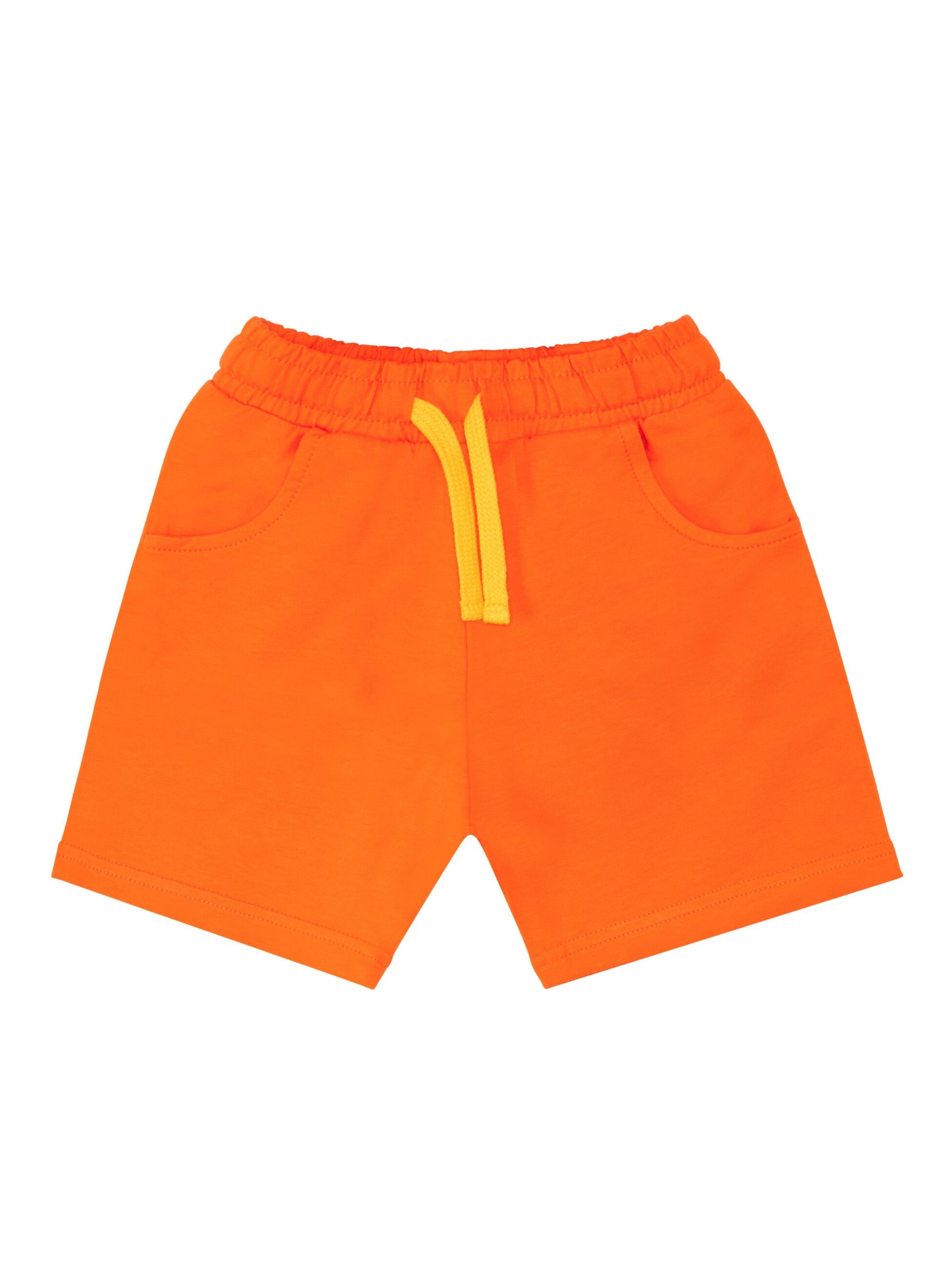 Survêtement 'T-Rex Flame' Denokids en gris