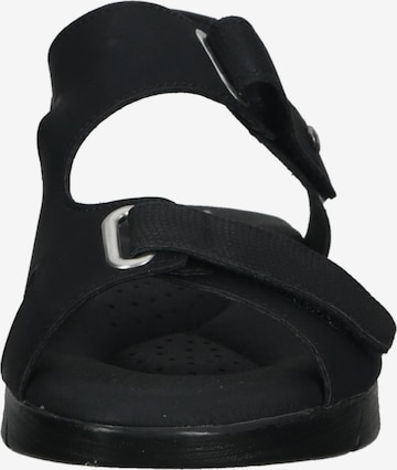Sandales à lanières Arcopedico en noir