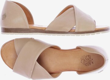 Apple of Eden Sandalen 37 in Beige: predná strana