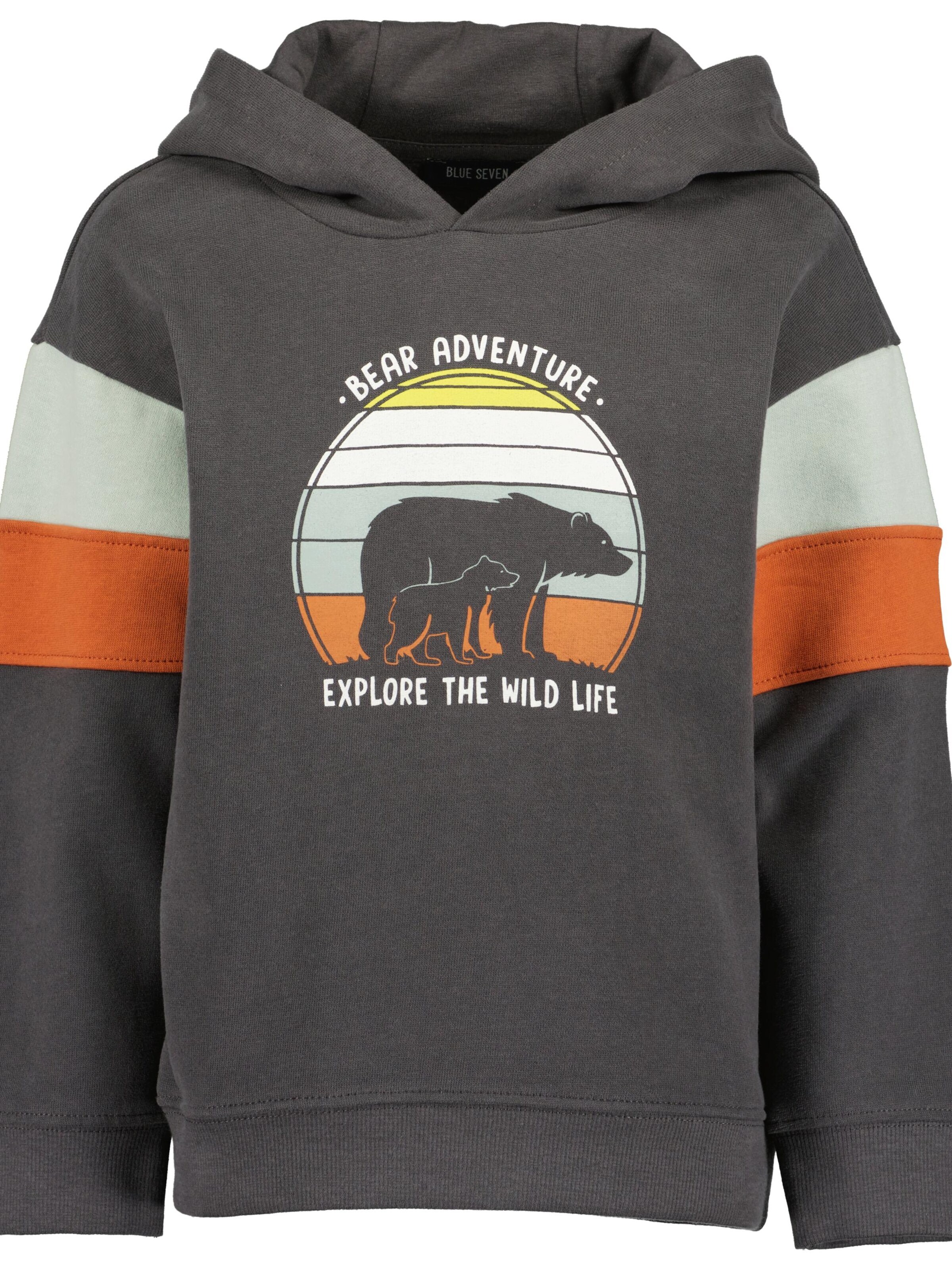 BLUE SEVEN - Sudadera en gris: frente