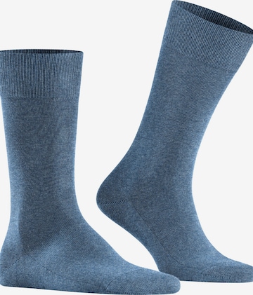 FALKE Socken 'Family' in Blau: Vorderseite