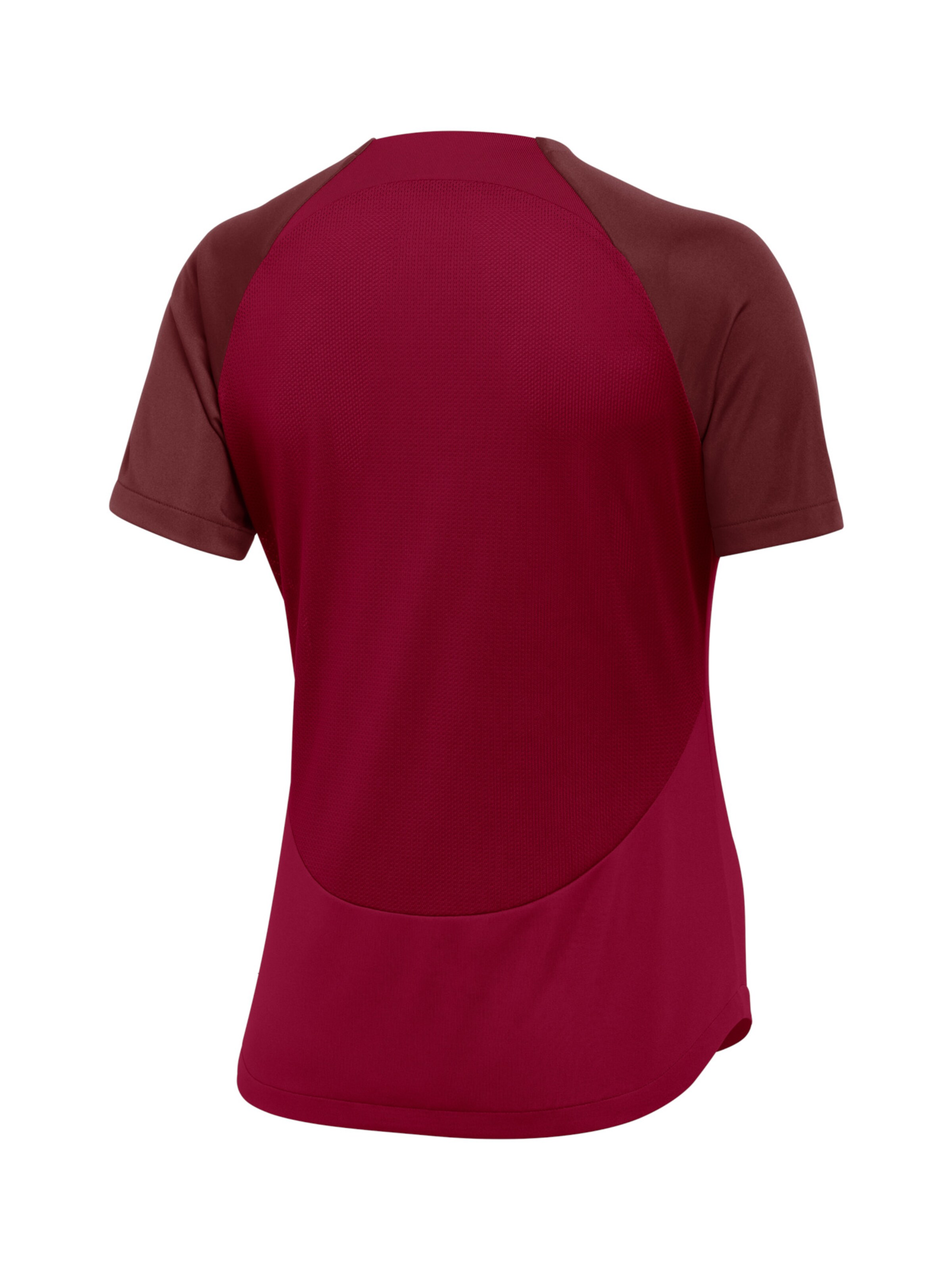 NIKE Funktionsshirt 'Academy Pro' in Rot