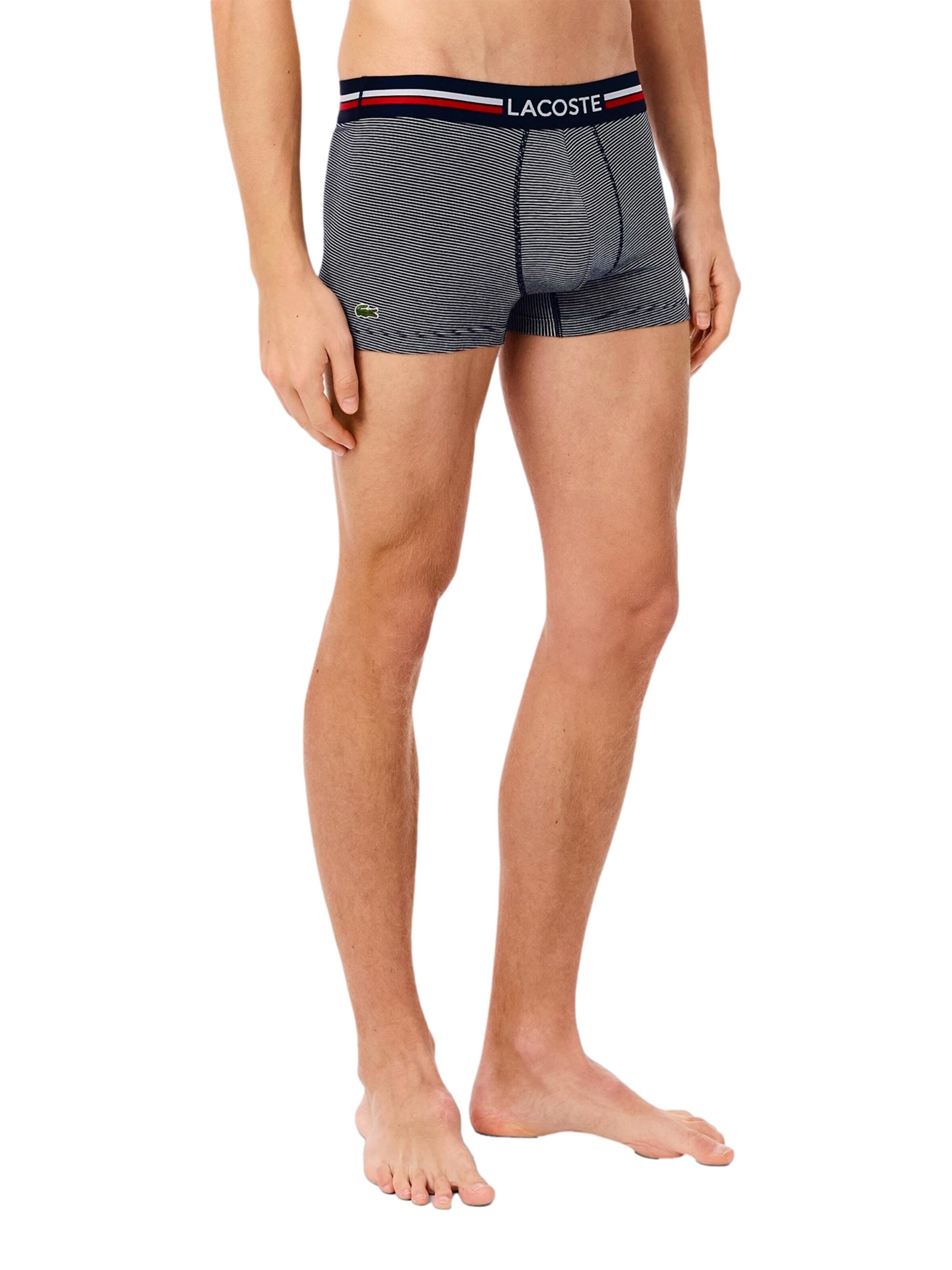 Boxer di LACOSTE in grigio