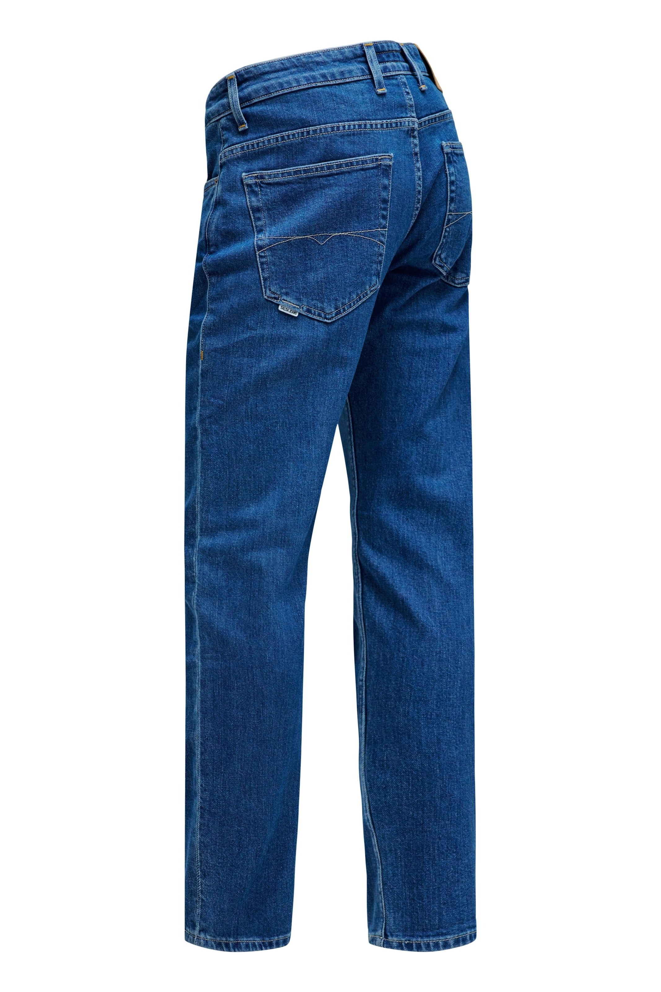 Salsa Jeans Regular Jeans in Blauw