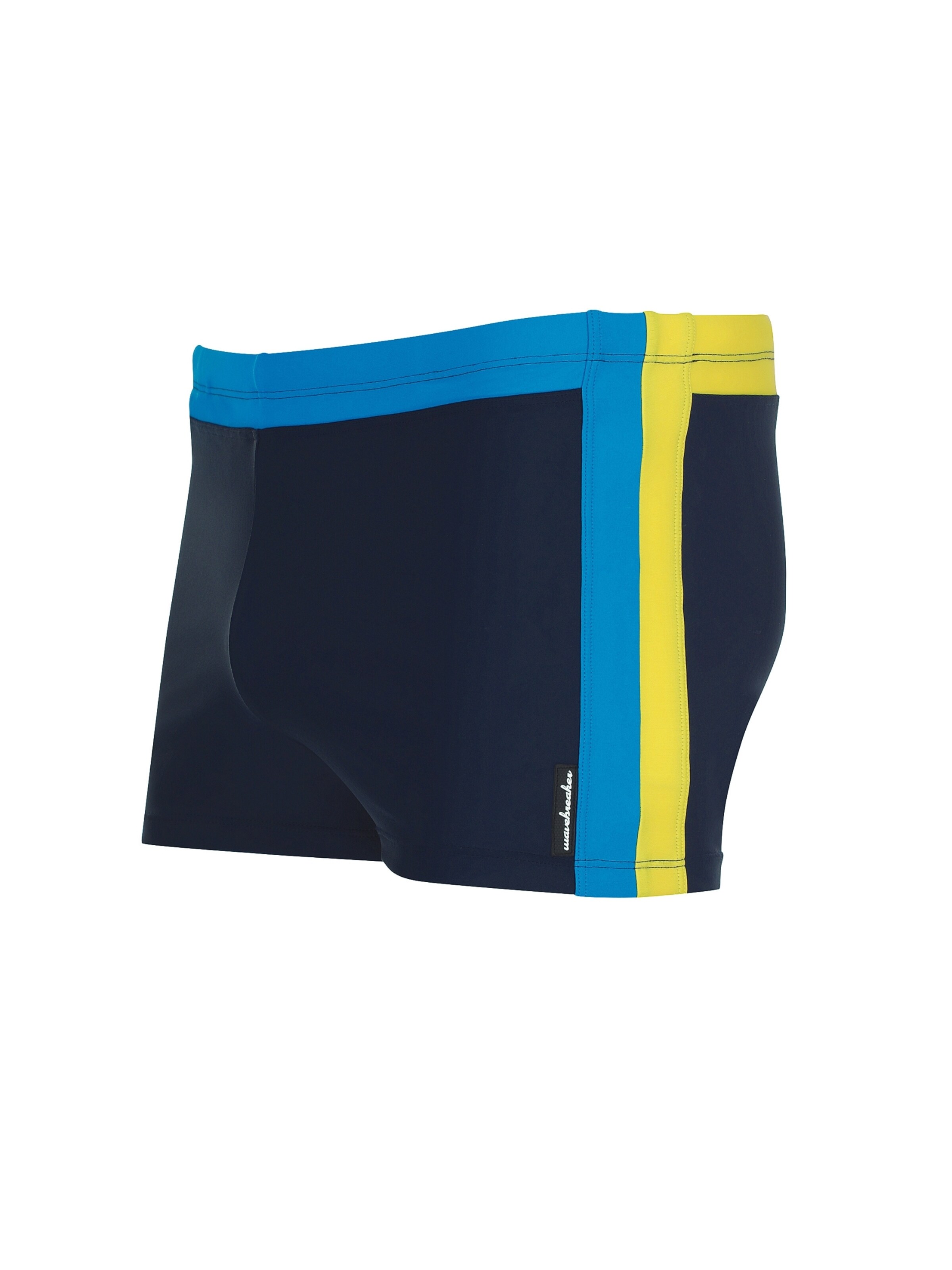 wavebreaker Swim Trunks in Blue