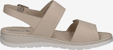 CAPRICE Sandals in Beige