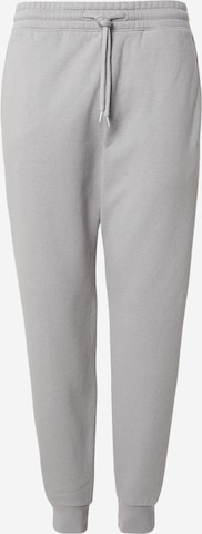 pilka HOLLISTER Siaurėjantis Kelnės: priekis