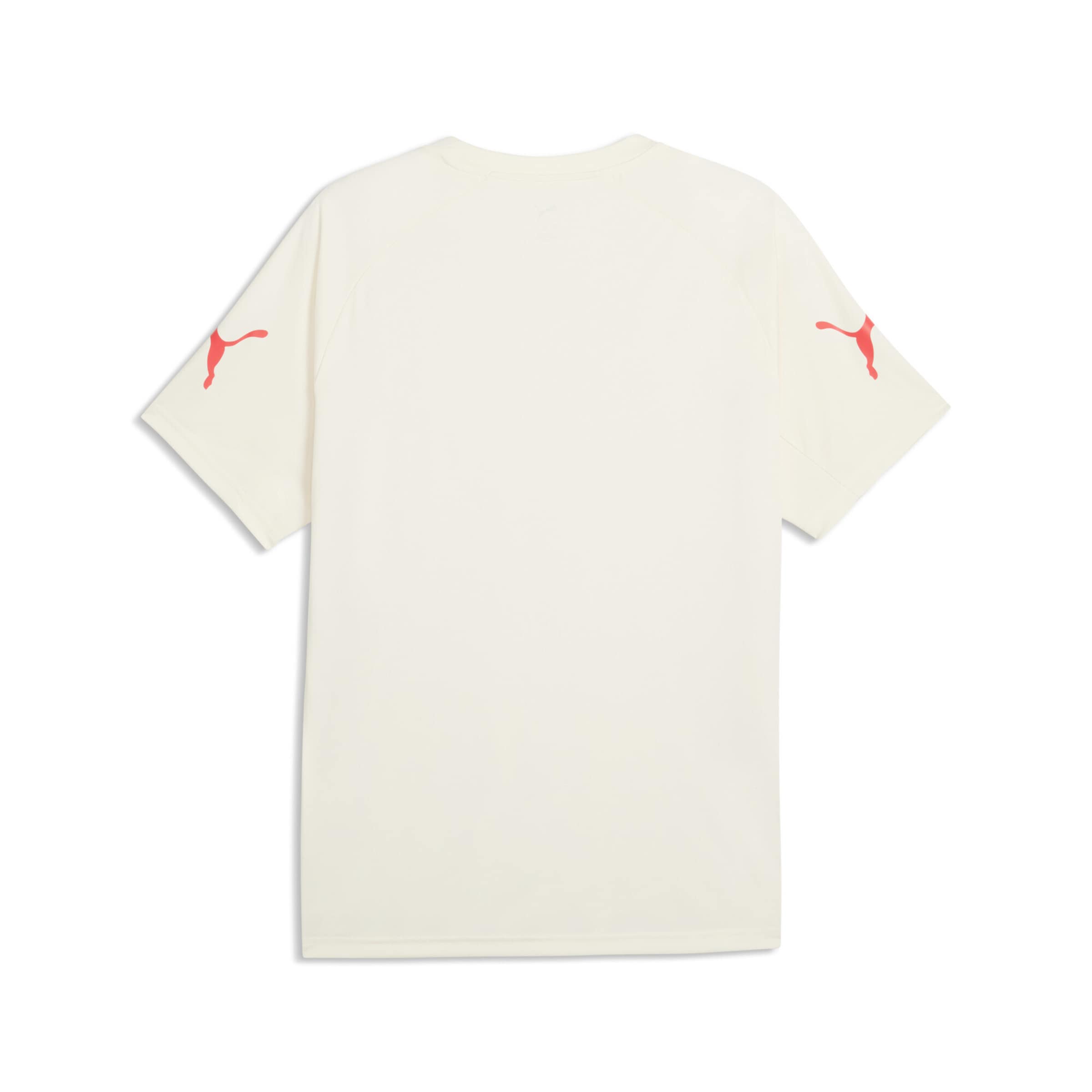 PUMA Jersey 'IndividualLiga' in Beige